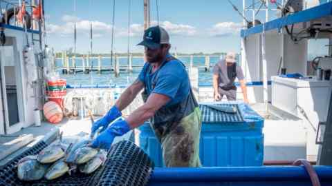 A fisherman unloads fish in New Jersey