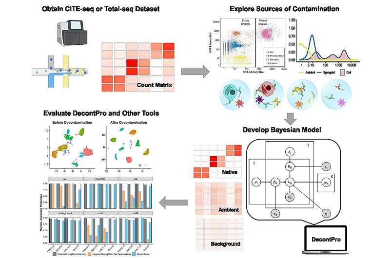 Researchers develop new method to help with analysis of single cell data