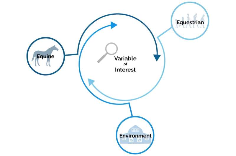 Researchers develop new model to advance equestrian research