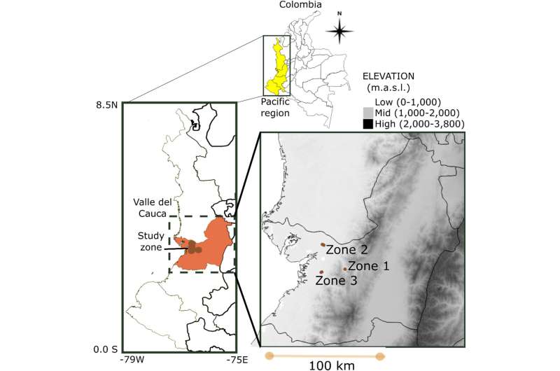 Tis the season to recognize chocolate: researchers highlight high quality cacao in Colombia