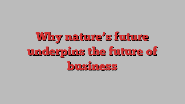 Why nature’s future underpins the future of business