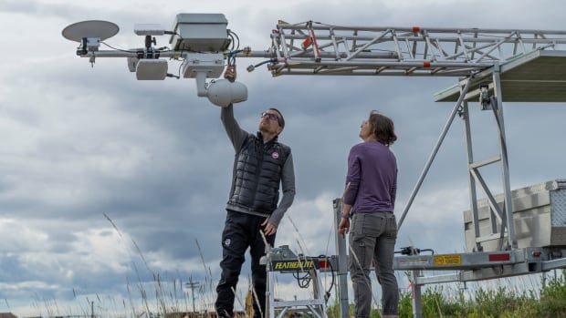 AI radar used to detect polar bears could be used for grizzly and black bears, too