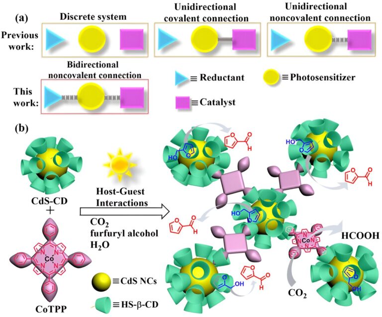 Bidirectional host-guest interactions promote selective photocatalytic carbon dioxide reduction