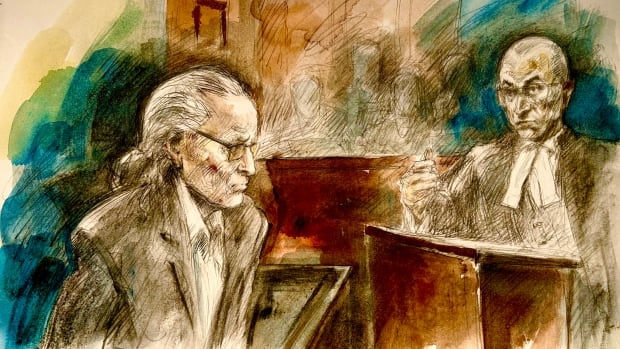 Nygard accuses Crown of ‘wanting to trap’ him during tense cross-examination