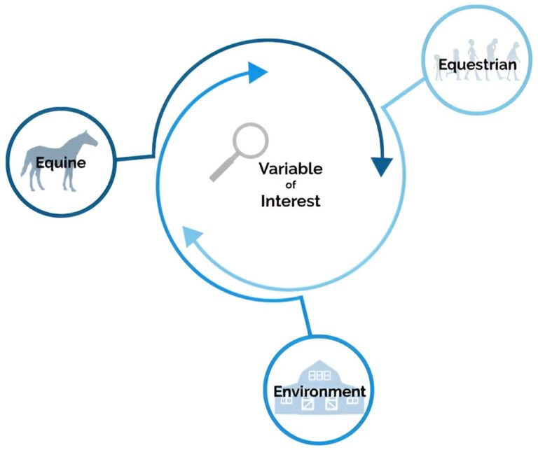 Researchers develop new model to advance equestrian research
