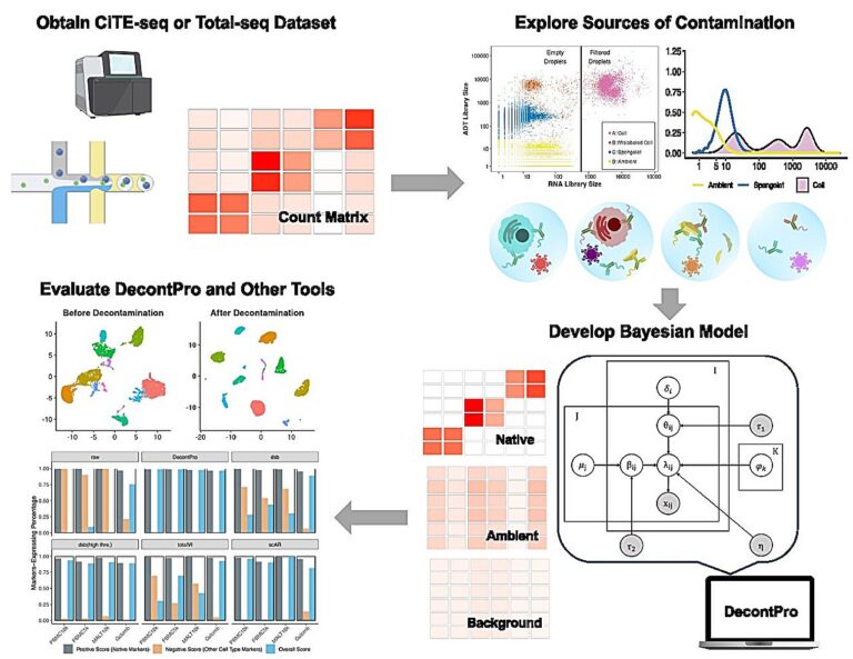 Researchers develop new method to help with analysis of single cell data