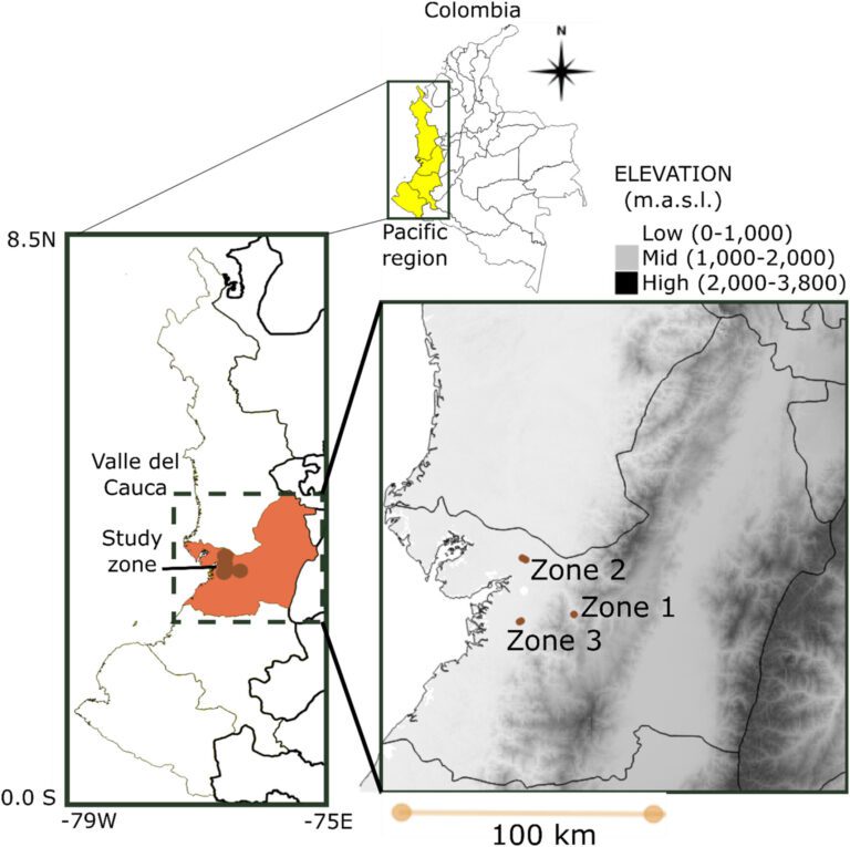 Researchers highlight high quality cacao in Colombia