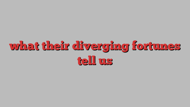 what their diverging fortunes tell us