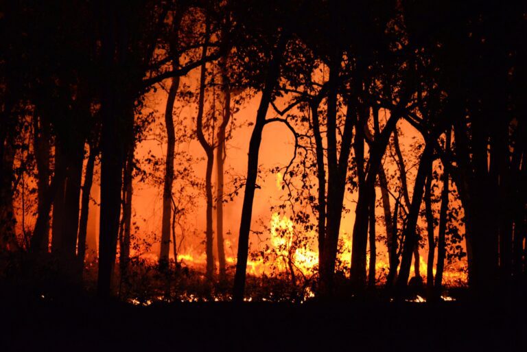 Can high-altitude balloons help predict wildfires?