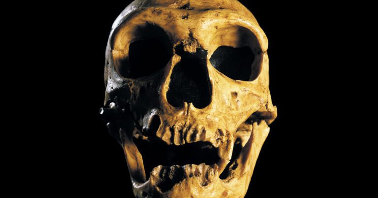 Morning Person? You Might Have Neanderthal Genes to Thank.