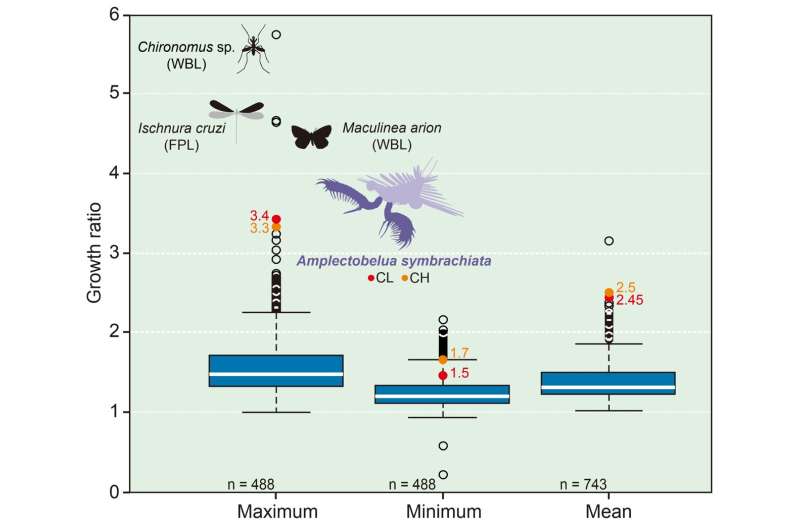 The ocean's first large swimming apex predators had exceptionally rapid growth