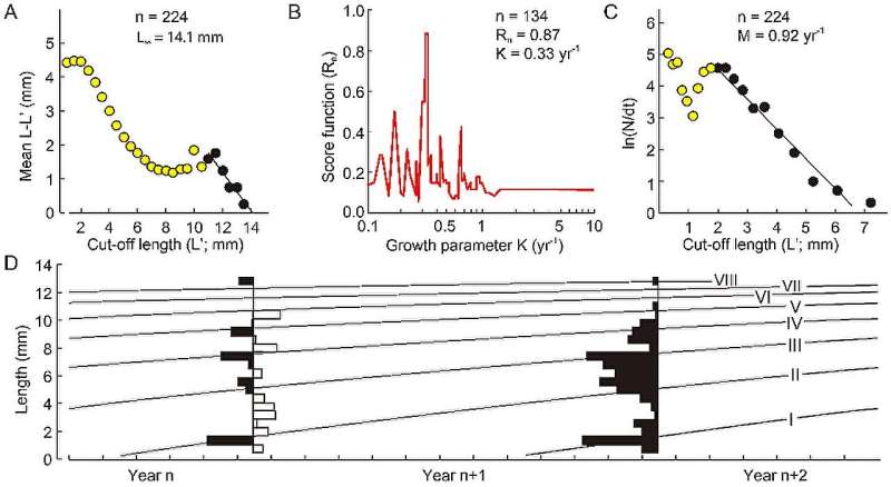 The ocean's first large swimming apex predators had exceptionally rapid growth