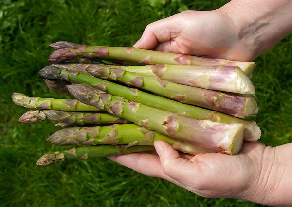 Asparagus Health Benefits, Nutrition Facts and Recipes