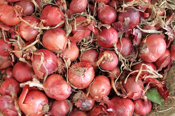 Red Onion Benefits, Nutrition, and Selection and Storage