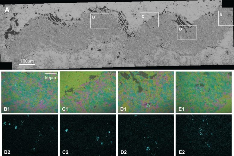 Backscatter and Energy Dispersive Spectrometry Results of SEM Analysis Using a JEOL 7900F SEM