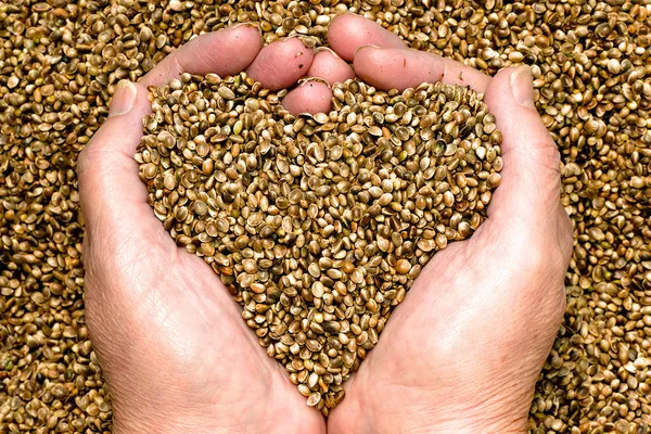 Hemp seed