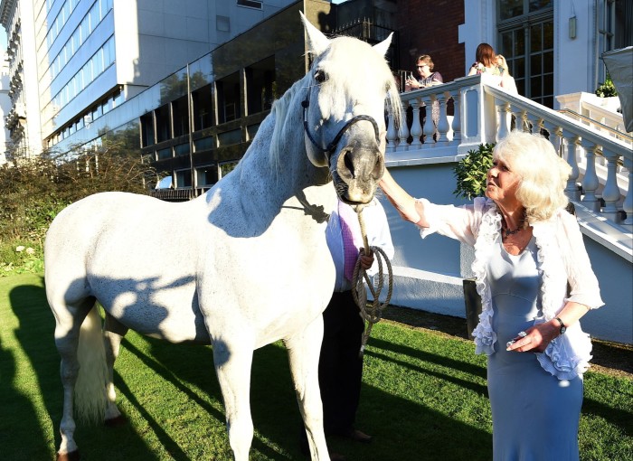 Novelist Jilly Cooper