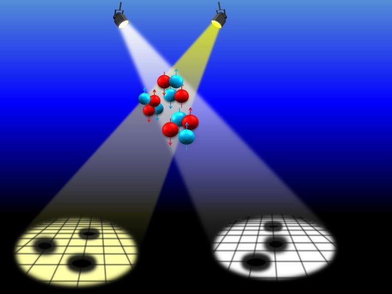 Neutrons and Protons in Carbon Nucleus