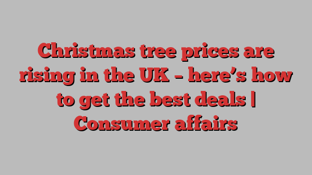 Christmas tree prices are rising in the UK – here’s how to get the best deals | Consumer affairs