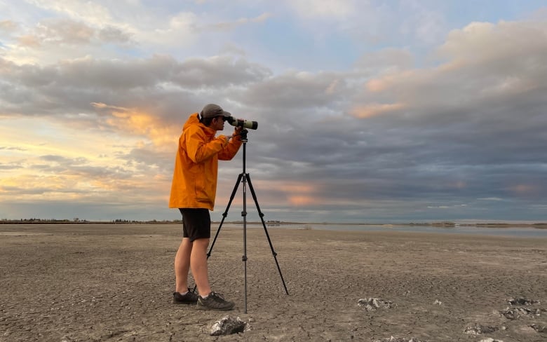 A man looks in a monocular pointed toward the sky. 