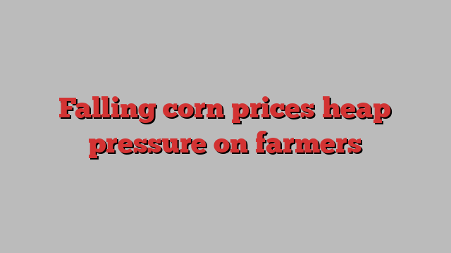 Falling corn prices heap pressure on farmers