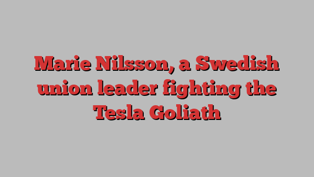 Marie Nilsson, a Swedish union leader fighting the Tesla Goliath