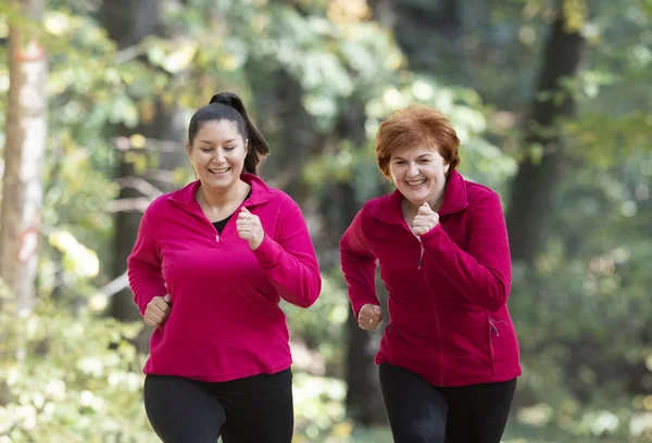 Physical Activity Shields Breasts From Cancer Before Menopause