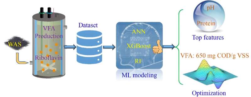 Unlocking sustainable solutions: Using machine learning to optimize VFA production in riboflavin-mediated sludge fermentation