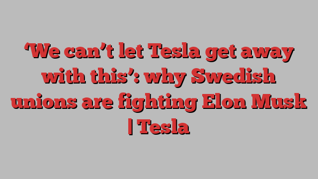 ‘We can’t let Tesla get away with this’: why Swedish unions are fighting Elon Musk | Tesla