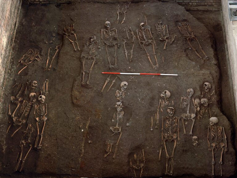 ‘Bone biographies’ reveal lives of medieval England’s common people—and illuminate early benefits system