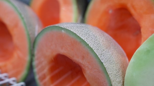 Proposed class-action lawsuit filed in Manitoba over cantaloupe tainted with salmonella