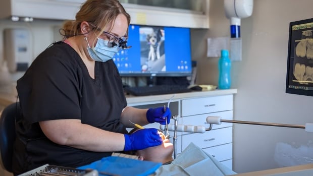 Federal dental care program will exclude 4.4M uninsured Canadians: report