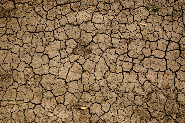 ‘Silent devastation’ of drought set to increase globally under climate change, says UN report