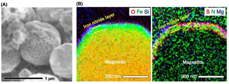 Meteorites likely source of nitrogen for early Earth, Ryugu samples study finds