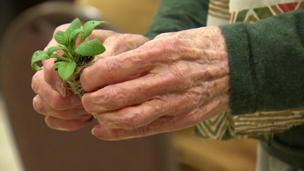 Concern rises over number of Canadian seniors going lost or missing due to dementia