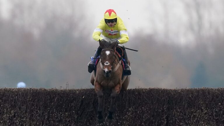 John Francome Novices’ Chase: Hermes Allen powers clear to win Newbury Grade Two on chase debut | Racing News