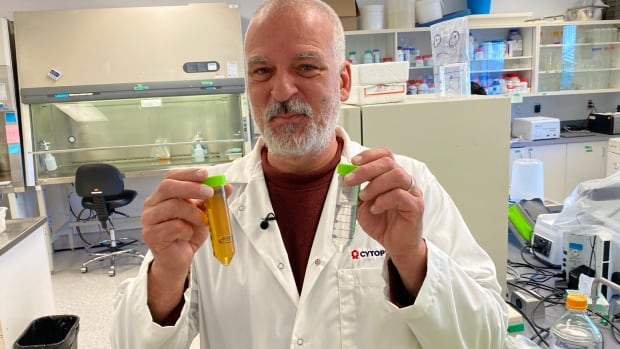 This Winnipeg scientist is using viruses to fight drug-resistant superbugs