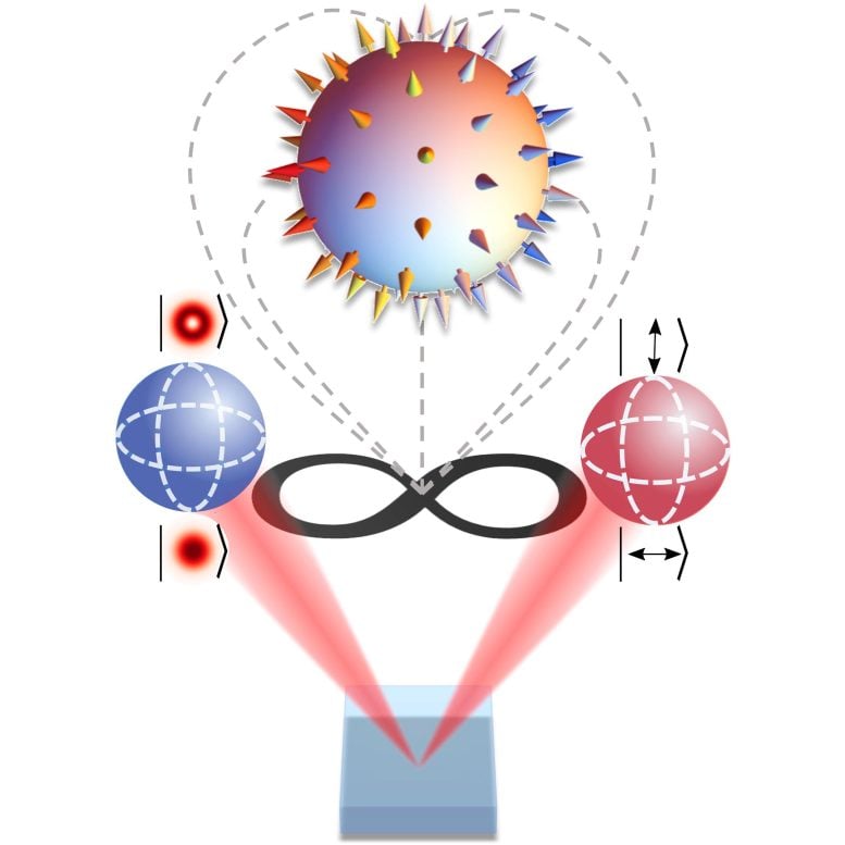 Skyrmion Topology