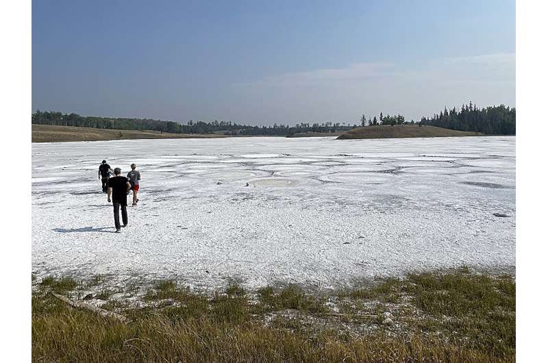 Shallow soda lakes show promise as cradles of life on Earth