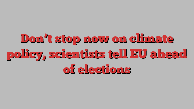 Don’t stop now on climate policy, scientists tell EU ahead of elections