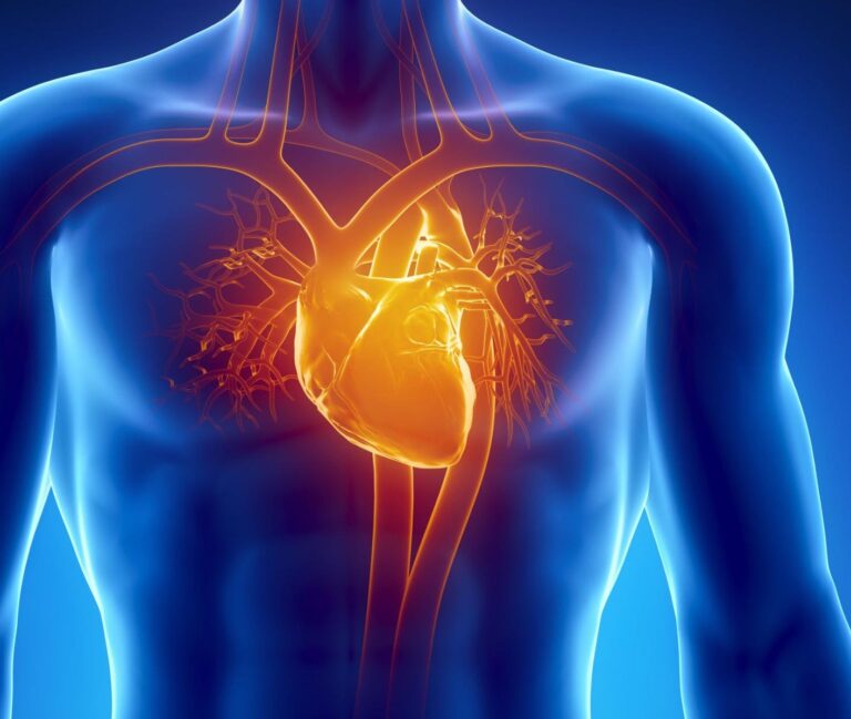 28% of “Healthy” Seniors Have Undiagnosed Heart Valve Disease