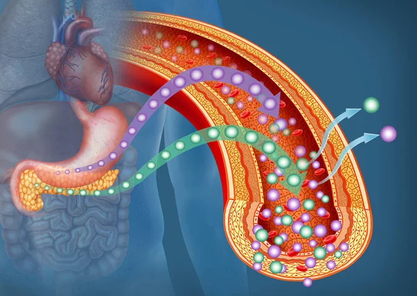 Hundreds of Genetic Markers Linked to Insulin Resistance