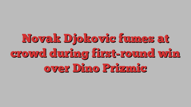 Novak Djokovic fumes at crowd during first-round win over Dino Prizmic