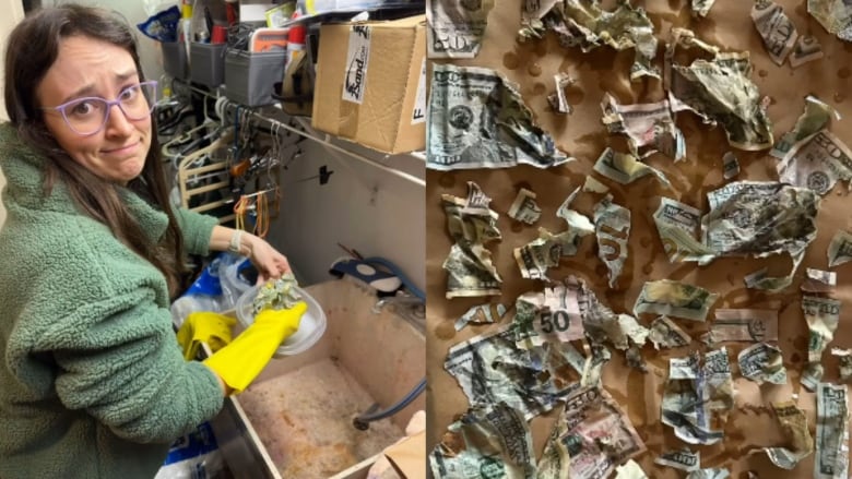 Two pictures. On the left, a woman stands at a large sink, wearing yellow gloves and holding a Tupperwear container full soapy water, and a handful of crumpled cash. She's looking over her shoulder at the camera and making a discontented face. On the right, pieces of torn and wrinkled American cash.