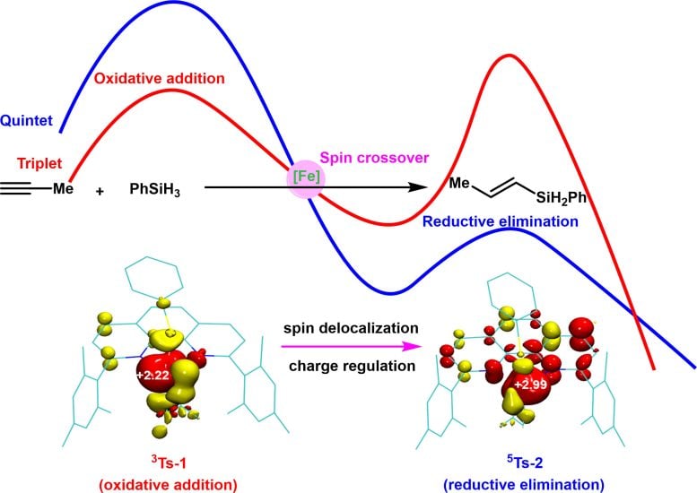 Schematic Representation of the Spin Effect in Open Shell Iron Catalysts