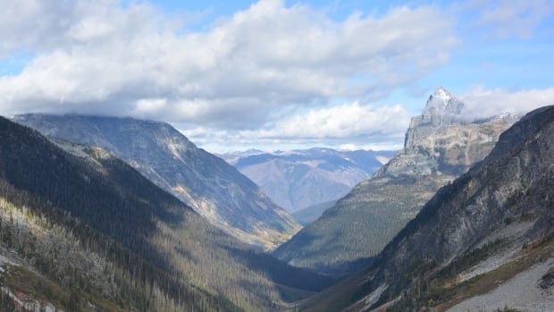 Rescuers search for missing helicopter in Glacier National Park, near Revelstoke, B.C.