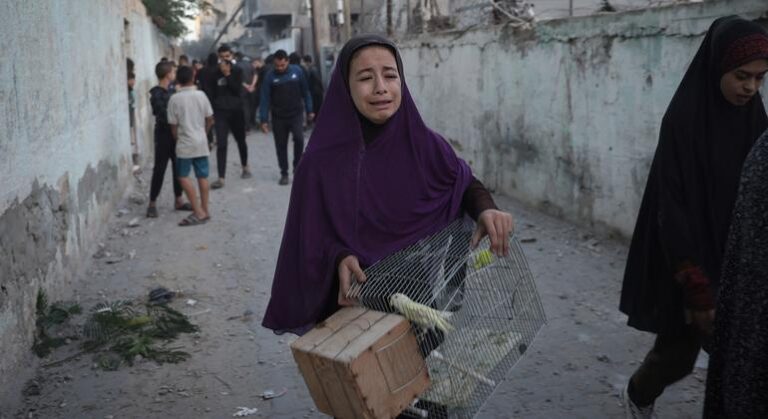 Everyone is hungry in Gaza now: UN humanitarians