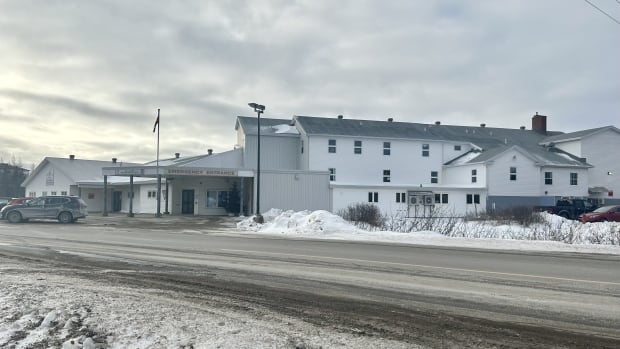 Virtual ERs are controversial, but in rural Newfoundland, one has saved a life