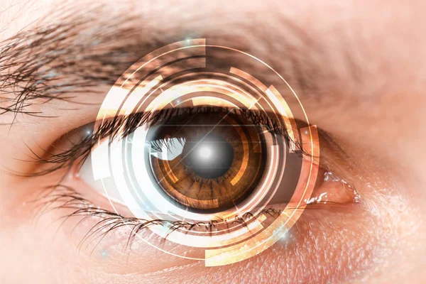 Targeted ocular spectroscopy offers new insight on Retinal health