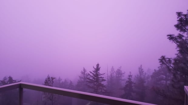 Purple haze, don’t know why? Here’s the science behind the colourful fog seen in B.C.’s Okanagan